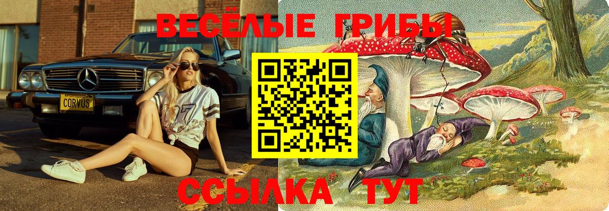 Псилоцибиновые грибы прущие грибы  Вход с VPN  Красноярск 