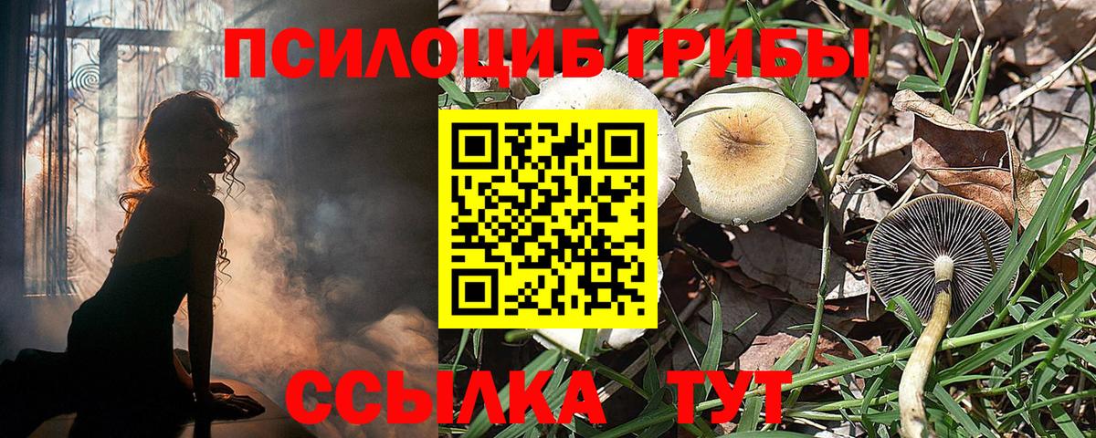 Псилоцибиновые грибы MAGIC MUSHROOMS Красноярск
